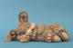 gro�er liegender Hase