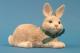 gr. hockender Hase